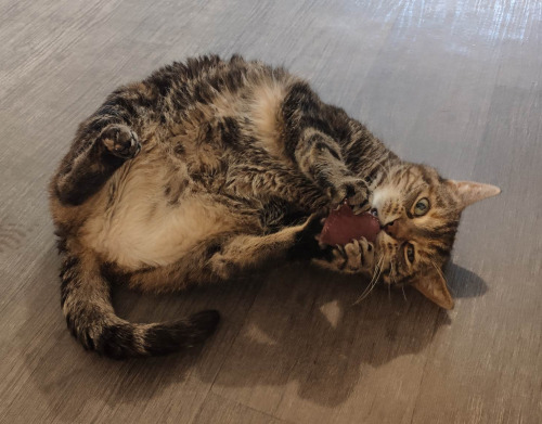 Minette