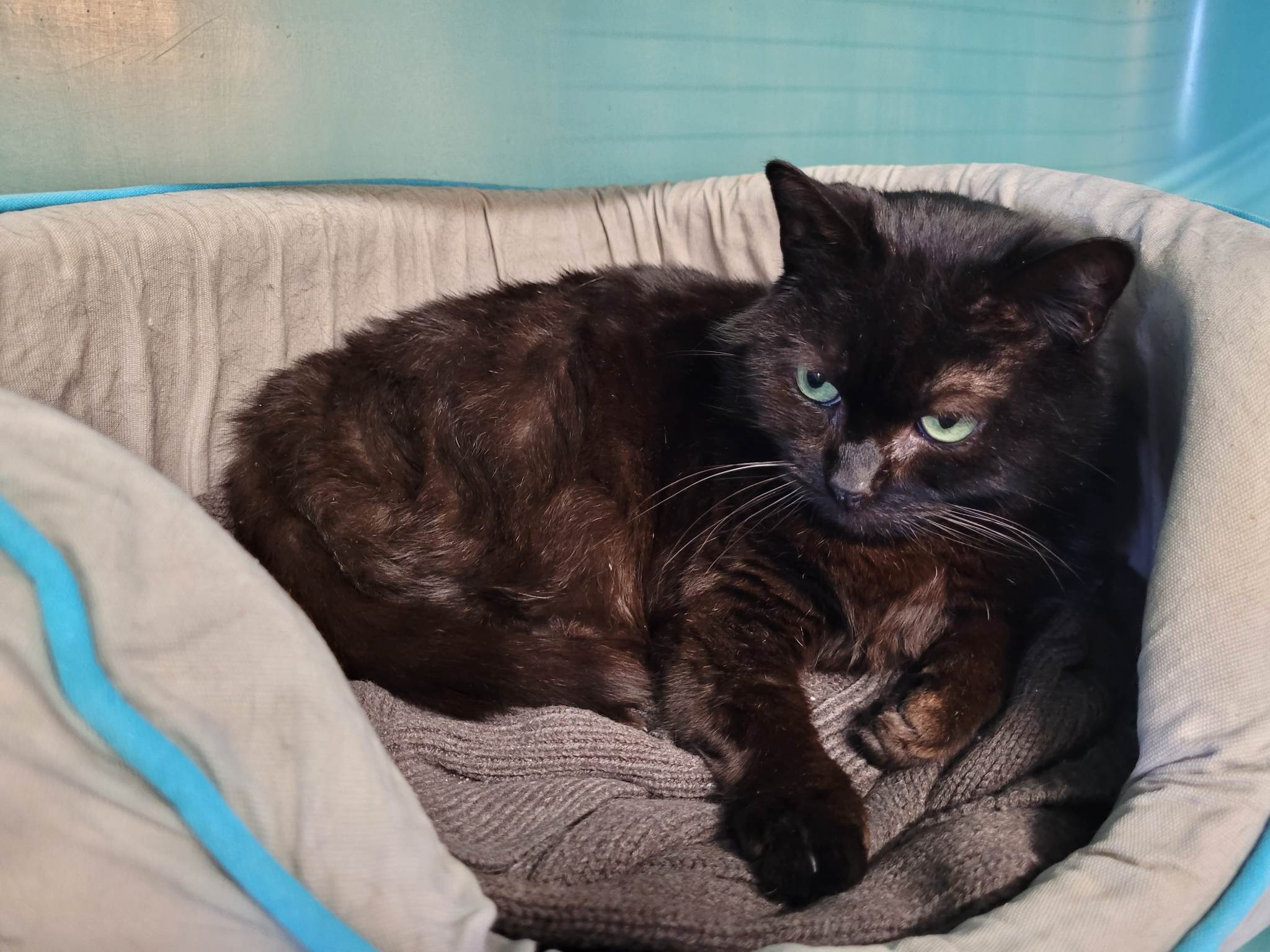 Mimi