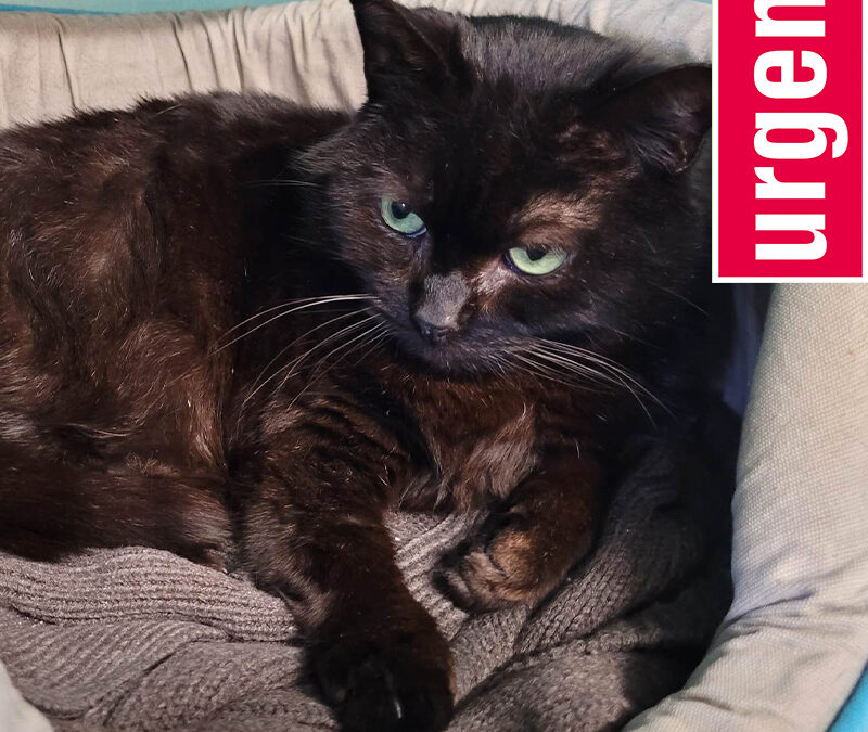 Mimi  · 8 ans