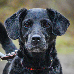 Bernie · 5 ans
