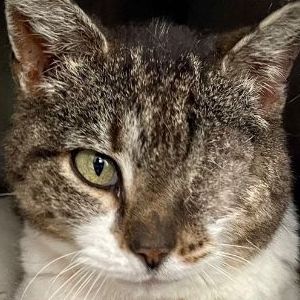 INDY · 8 ans