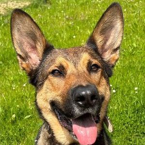 Pouka · 2 ans 1/2