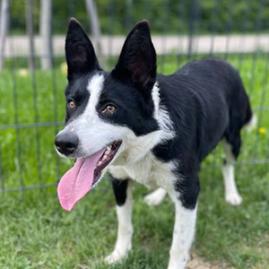 Bella · 2 ans