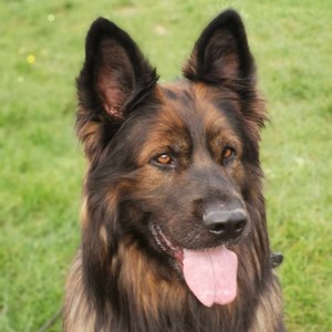 Nazka
