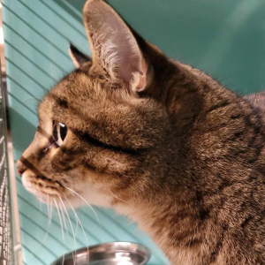 Mimi