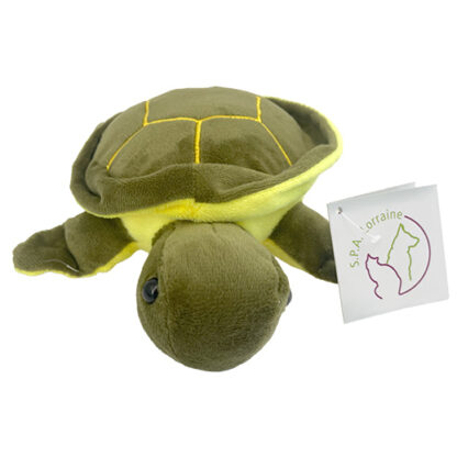 Peluche tortue – Image 2