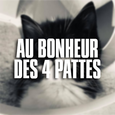 aubonheurdes4pattes