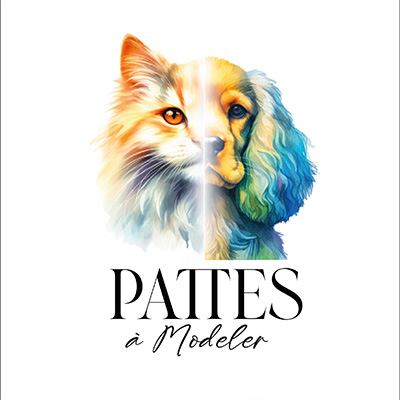 pattesamodeler
