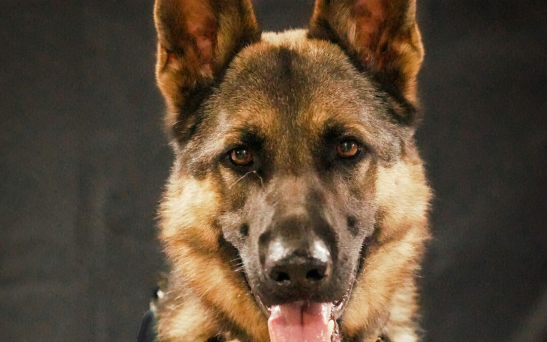 Ares