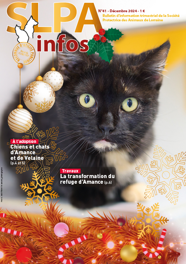 Couverture de la revue SLPA Infos n°37