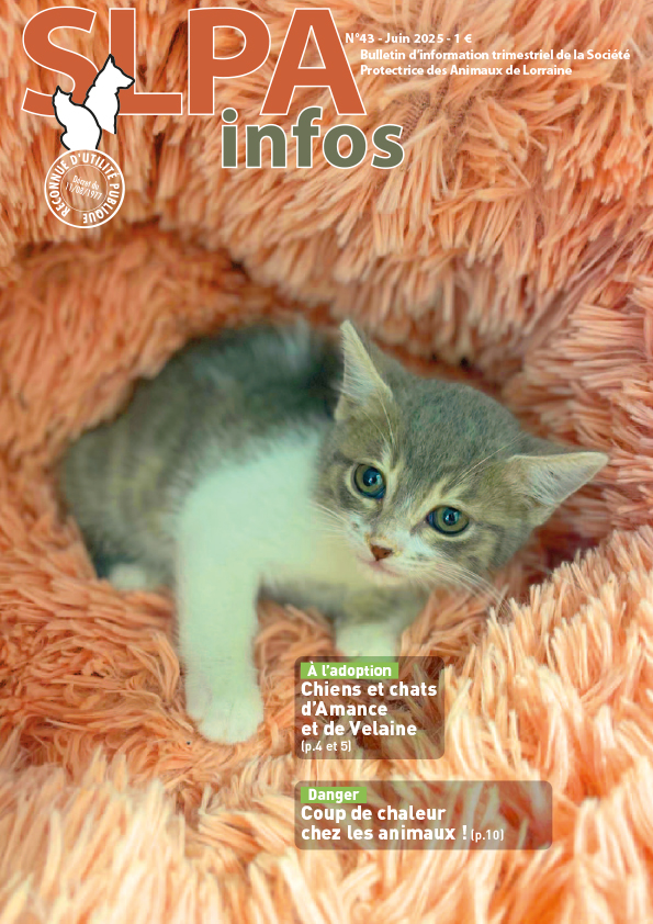 Couverture de la revue SLPA Infos n°37