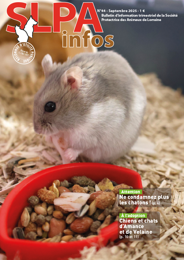 Couverture de la revue SLPA Infos n°37