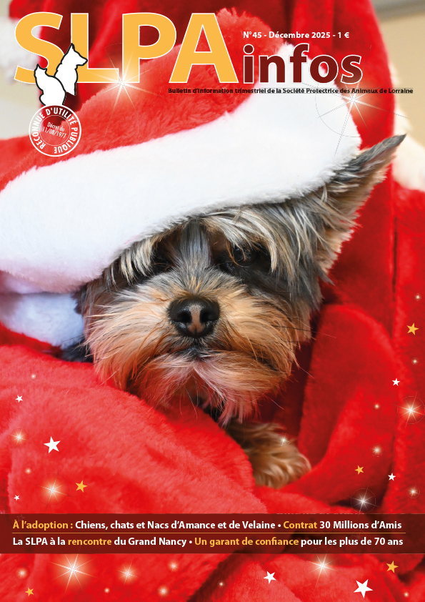 Couverture de la revue SLPA Infos n°37