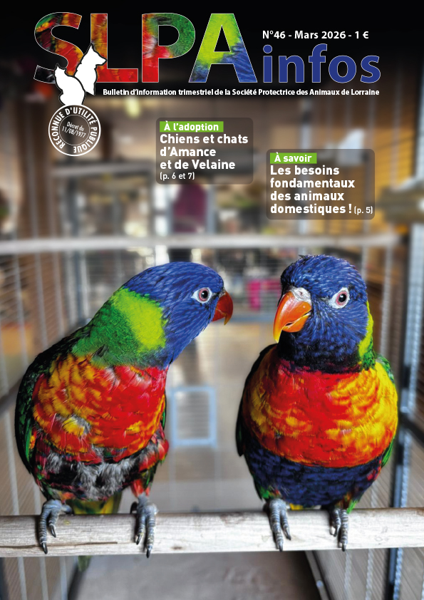 Couverture de la revue SLPA Infos n°37