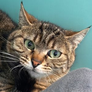 Mimi