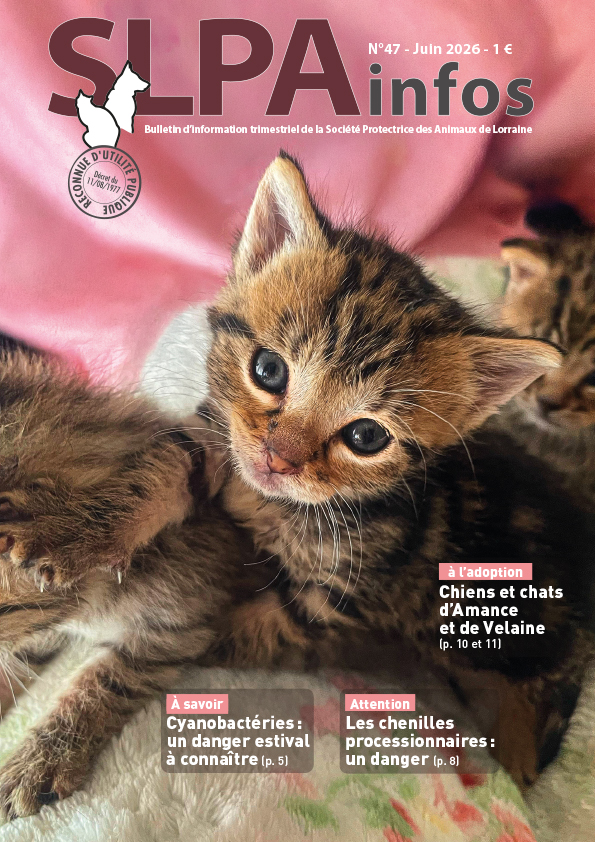Couverture de la revue SLPA Infos n°37