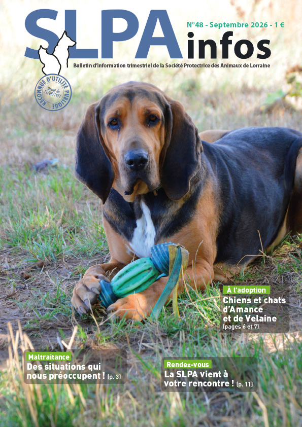 Couverture de la revue SLPA Infos n°37